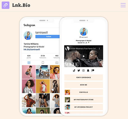 Lnk.bio Instagram Bio Tool