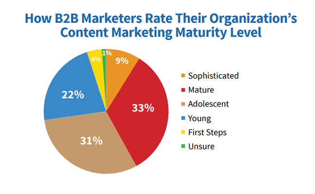 9% of B2B marketing experts would describe their strategy as sophisticated